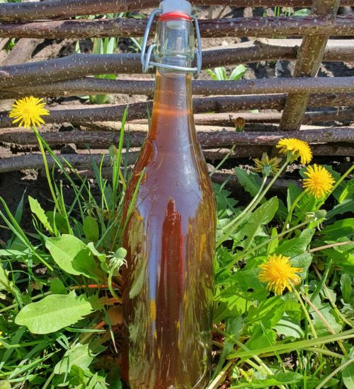 490976061_1232311834897401_5781481528160144773_n